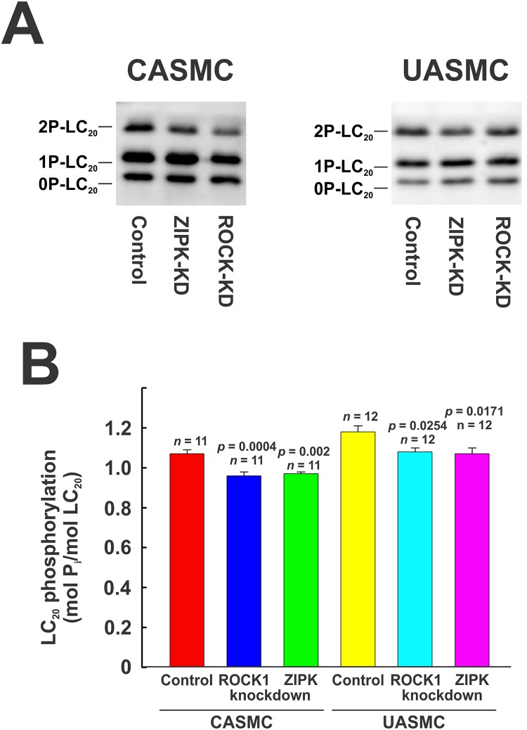 Fig 10