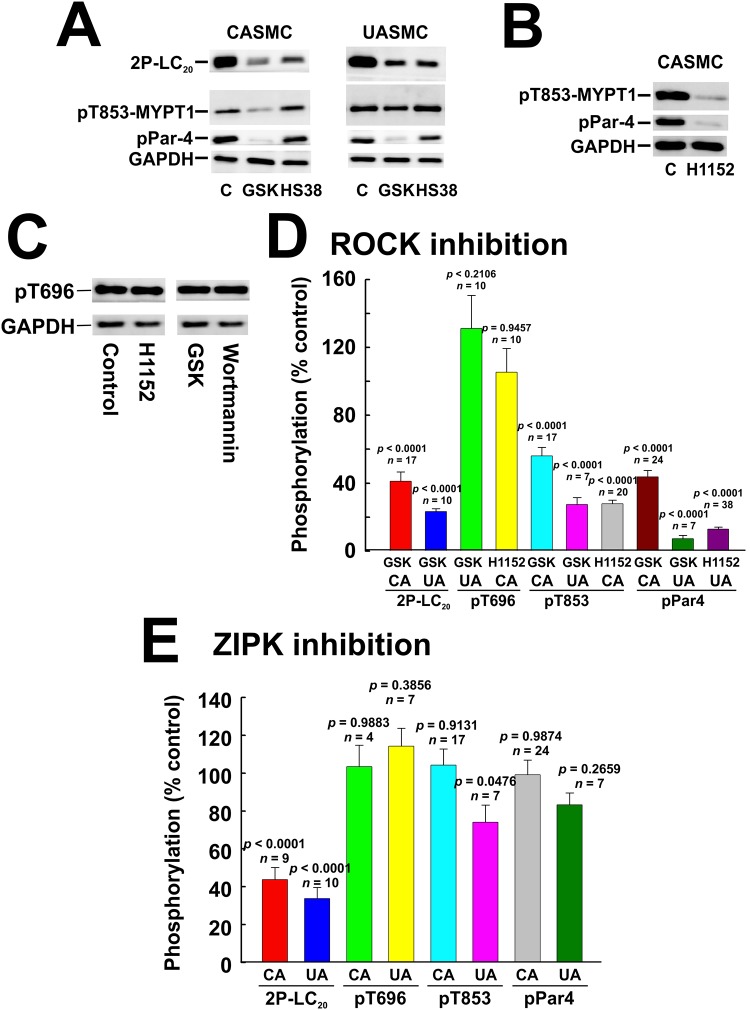 Fig 12