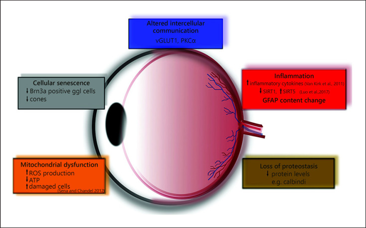 Fig. 10