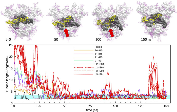 FIGURE 3