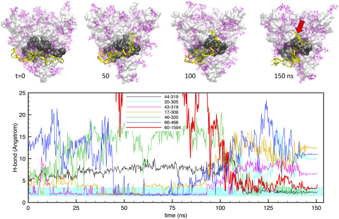 FIGURE 4