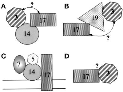 Figure 12