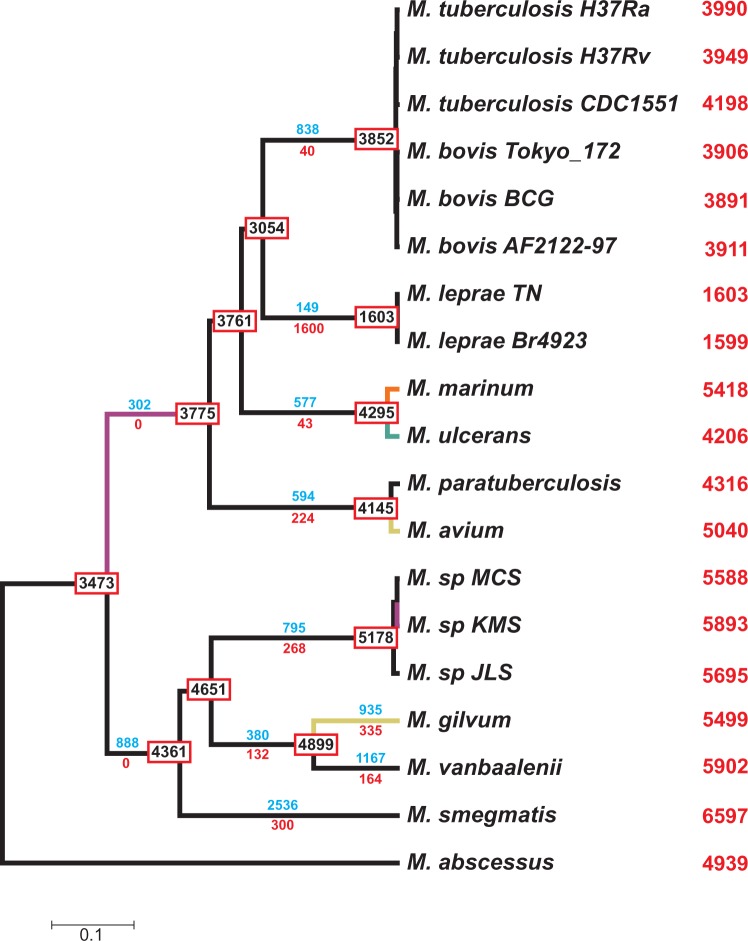 Fig. 6.—