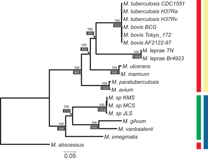 Fig. 2.—