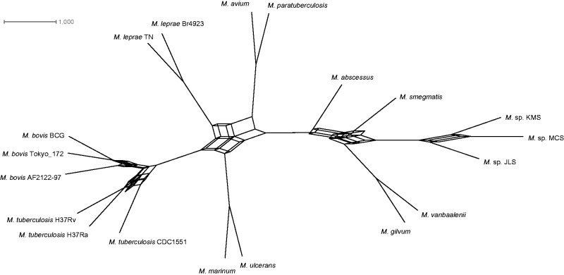 Fig. 3.—