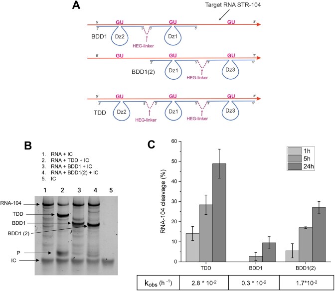 Figure 10.