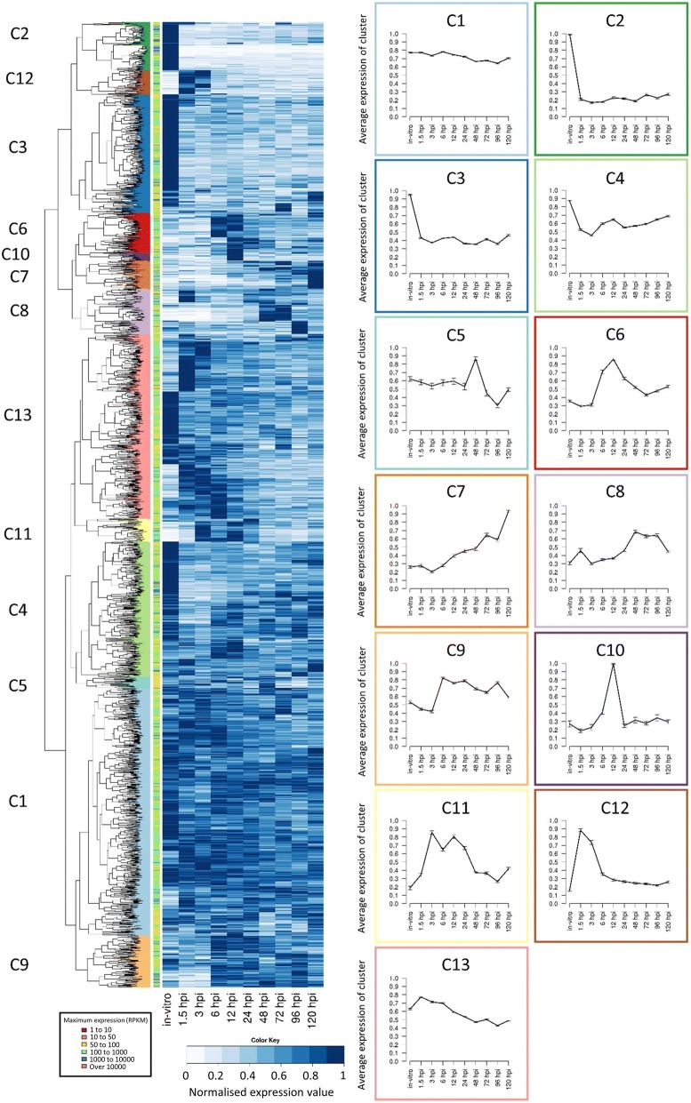 Fig. 3