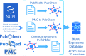 Figure 1 is a conceptual diagram explaining the workflow.