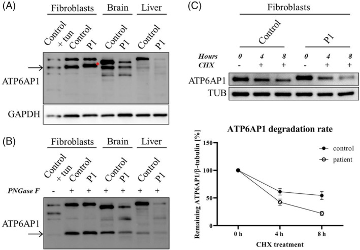 FIGURE 3