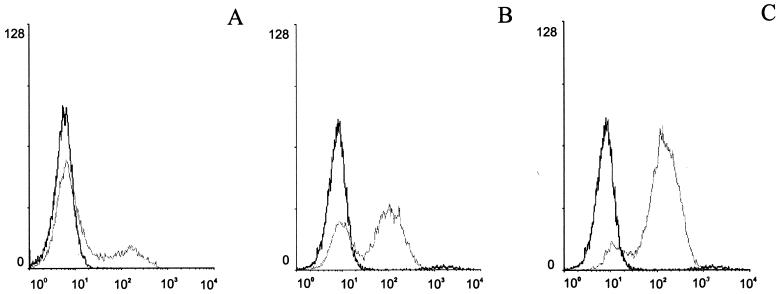 FIG. 7