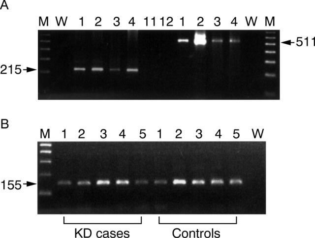 Figure 1  