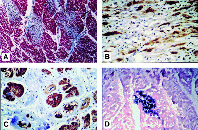 Figure 3  