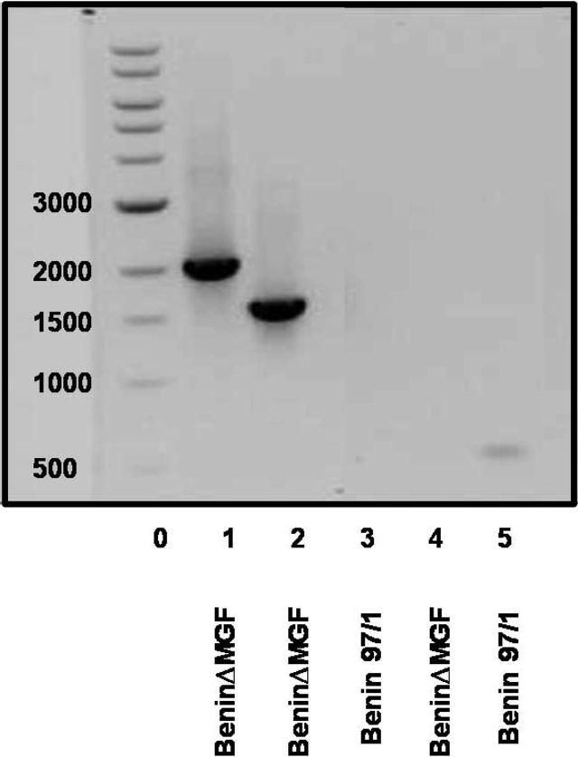Supplementary Fig. 1