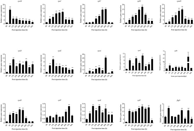 Figure 11