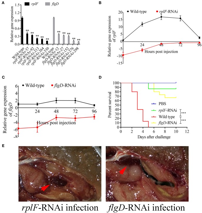 Figure 13