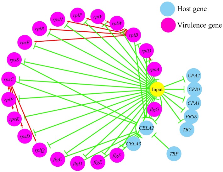 Figure 6