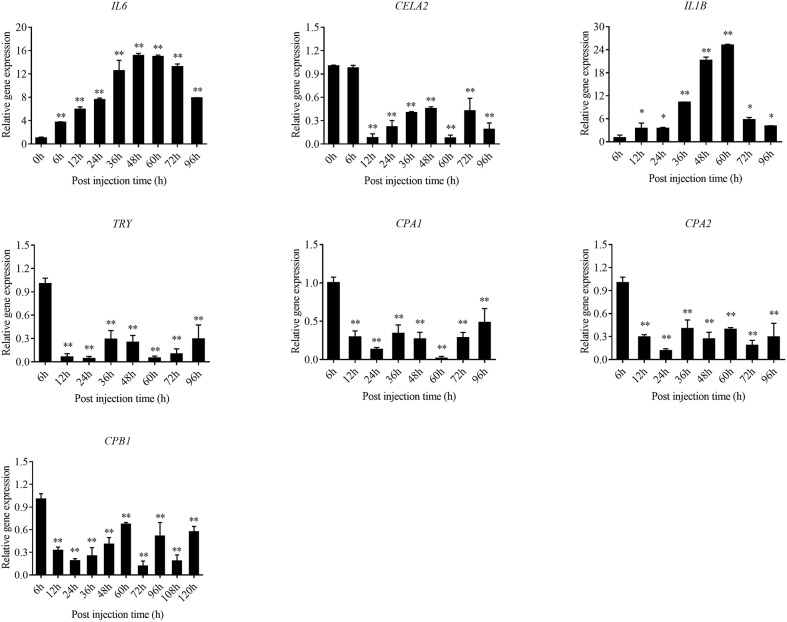 Figure 12