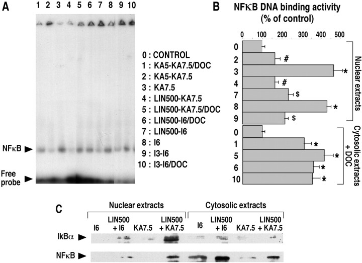 Fig. 6.