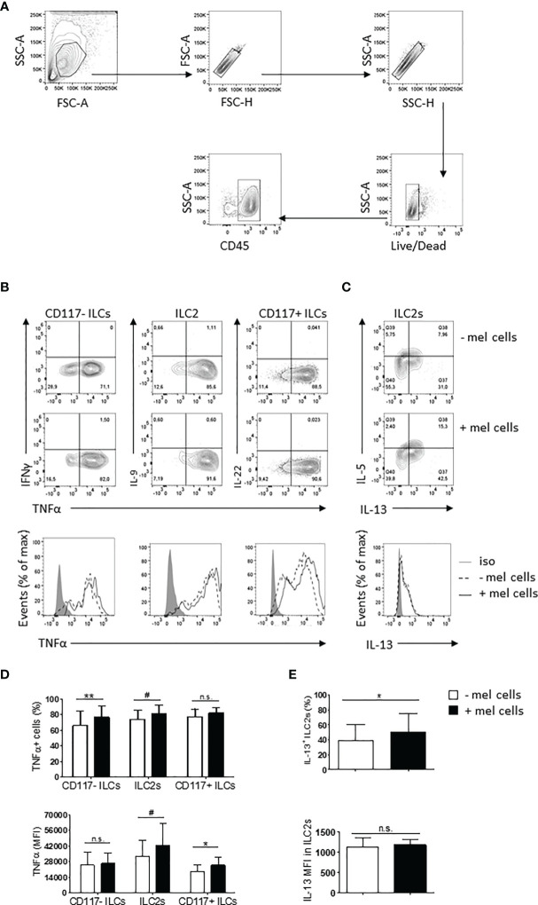 Figure 4