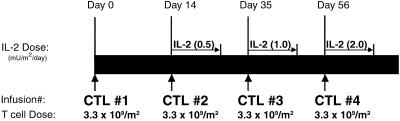 Fig 1.