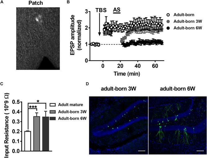 FIGURE 2