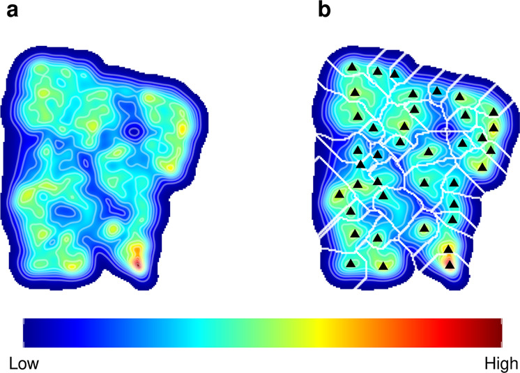 Fig. 1