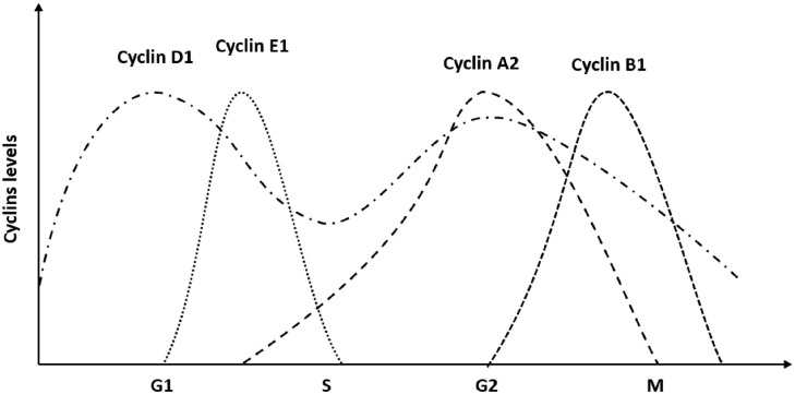 Figure 8.