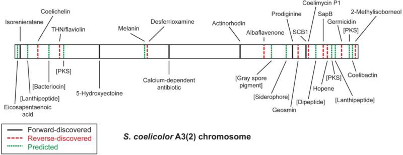 Fig. 2