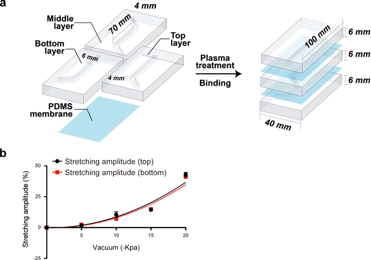 Figure 2—figure supplement 1.