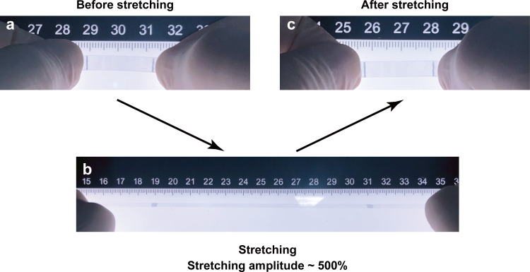 Figure 2—figure supplement 3.