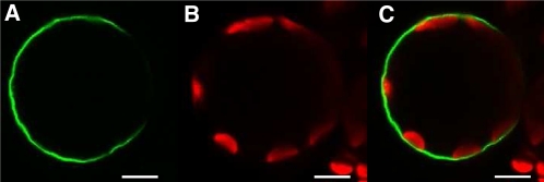 Figure 3.