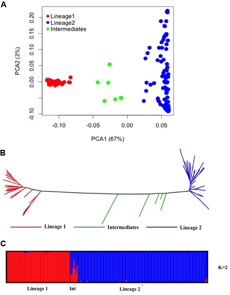 FIGURE 3