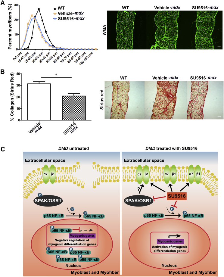 Figure 6