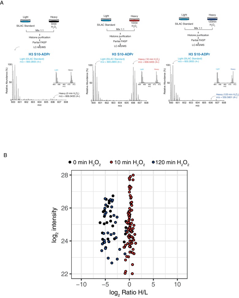 Figure 1—figure supplement 1.