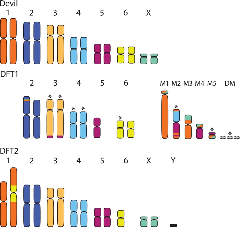 Fig 2