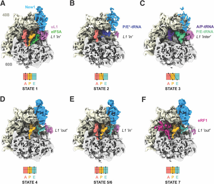 Figure 1.