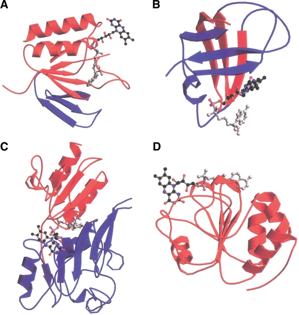 Fig. 4.