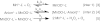 Scheme 3.