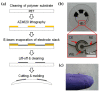 Figure 22