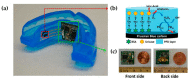 Figure 21