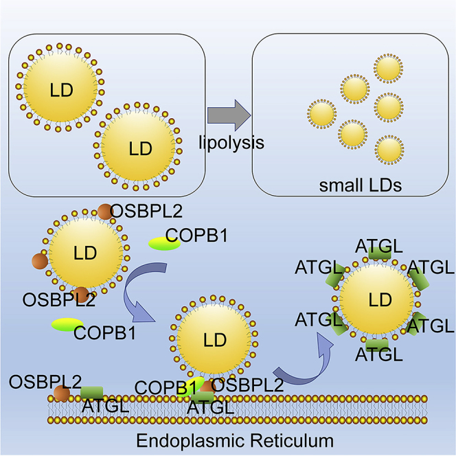 graphic file with name fx1.jpg