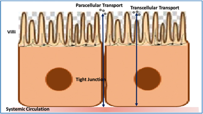 Fig. 1