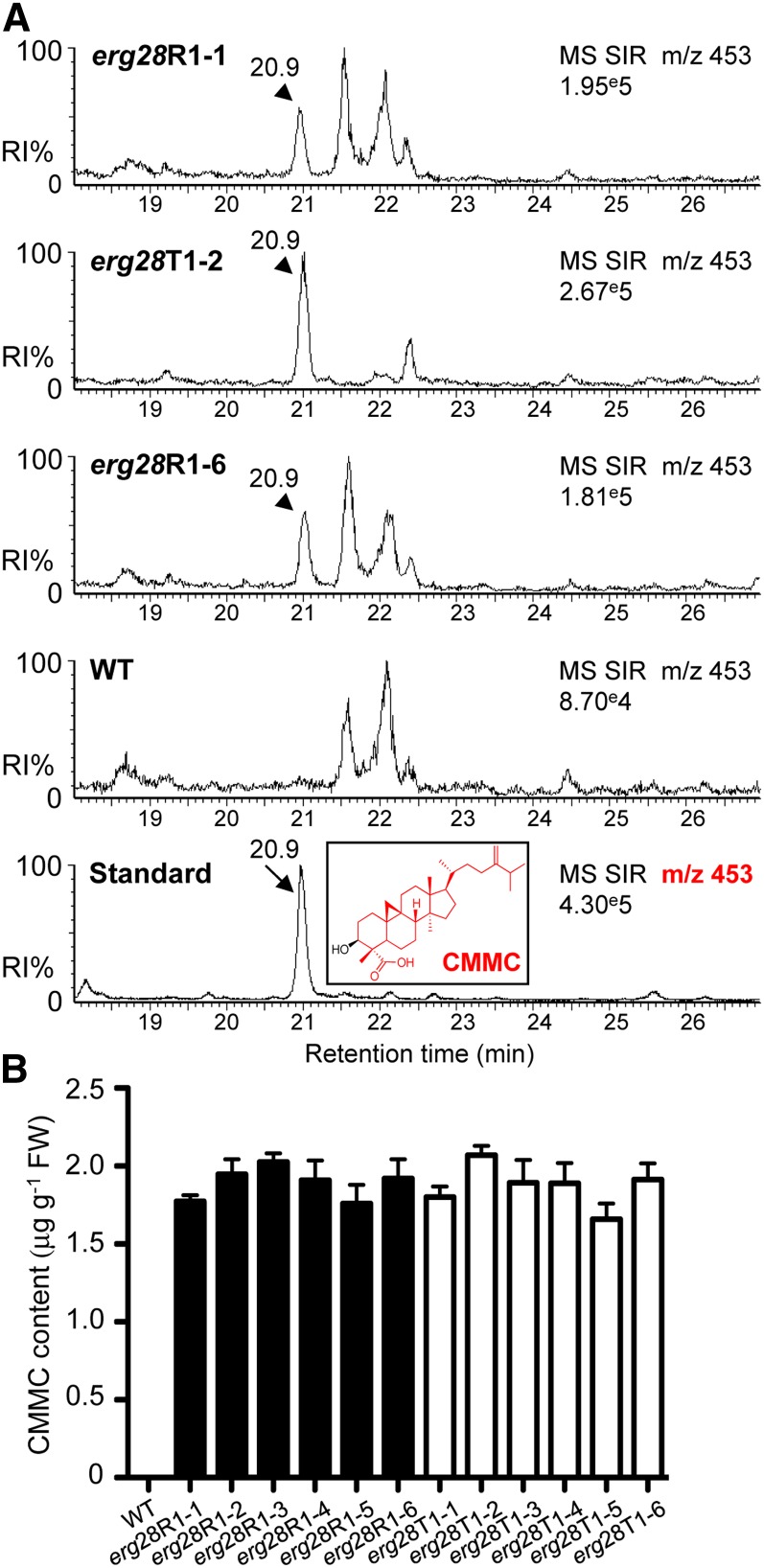 Figure 6.