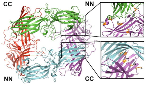 Fig. 2