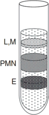 Figure 3.20.1