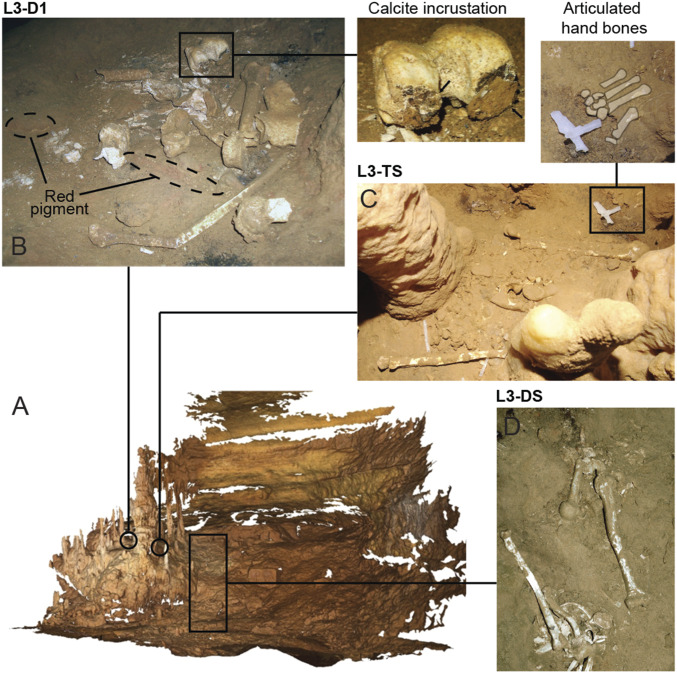 Fig. 3.