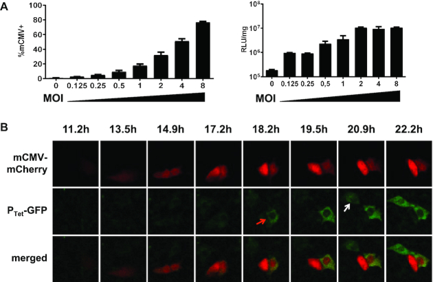 Figure 4.