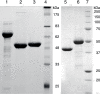 FIG. 3.