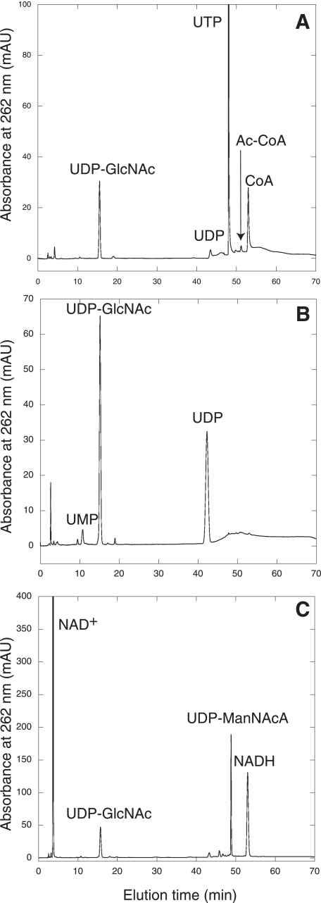 FIG. 5.