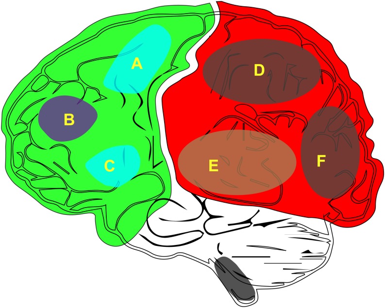 FIGURE 1